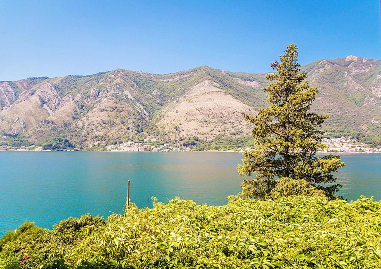 Villa Donkovic Kotor Ngoại thất bức ảnh